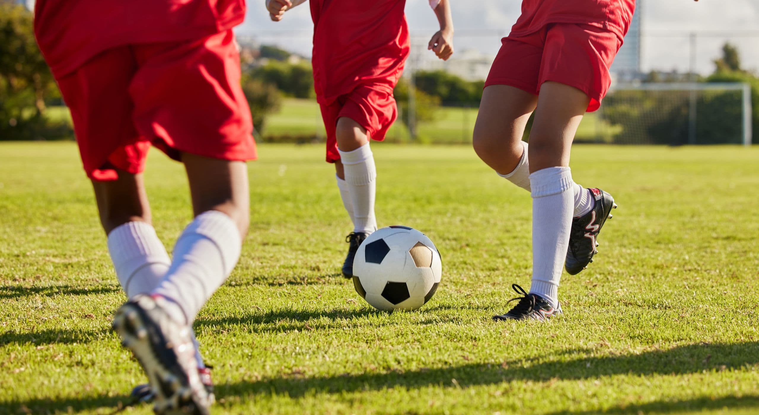 Educateur sportif / Educatrice sportive